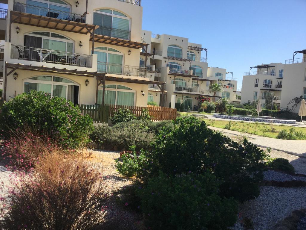 Aphrodite Beachfront Apartment Ghaziveran Luaran gambar